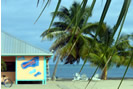 Barefoot Beach Bar