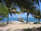 Hamanasi Resort