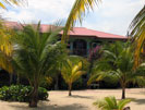 Hamanasi Pool
