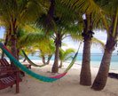 Hammocks on Beach