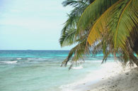 Laughing Bird Caye
