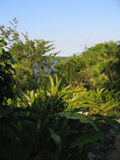 New River Lagoon at Lamanai