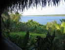 View whilst dining at Lamanai