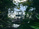 View from Cabana at Lamanai Outpost Lodge