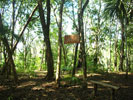 Trails at Mystic River