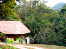 Bar at Pook's Hill