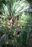 Ziplining through Jungle Canopy