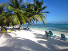 Beach at Tranquility Bay