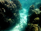 Snorkelling at the reef