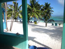 View from Porch