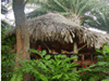 Lamanai Gardenview Cabana