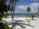 Beach View