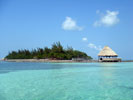 Cayes