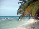Laughing Bird Caye Marine Reserve