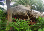 Lamanai Gardenview Cabana