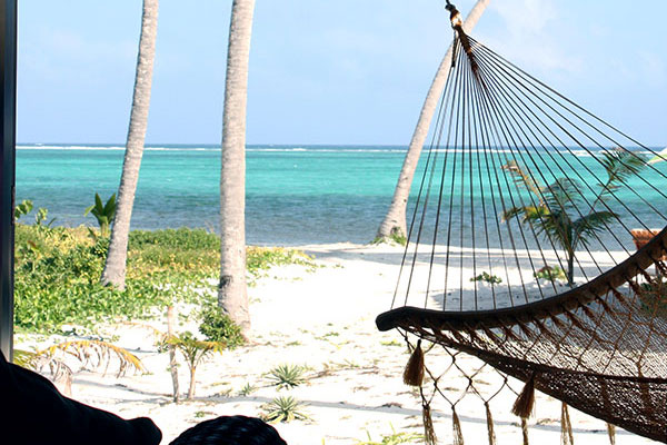 Hammock and Beach View