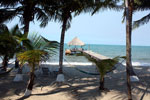 Parrot Cove Lodge