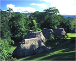 Pook’s Hill Lodge
