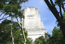 Tikal Temple