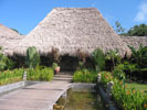 Turtle Inn