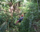 Zipling in jungle