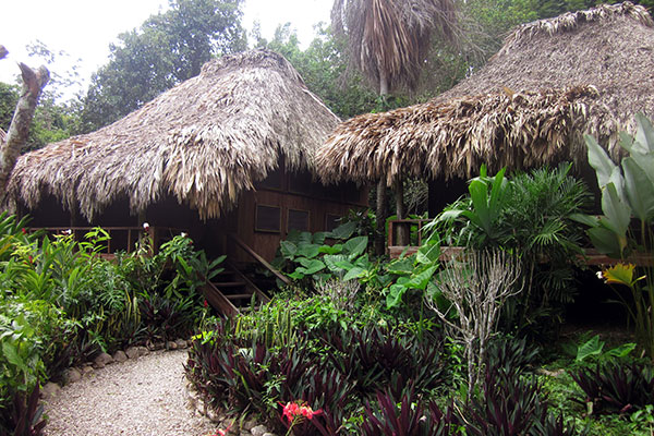 Superior Garden View Cabanas