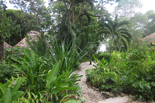 Pathways on the grounds at Lamanai Outpost Lodge